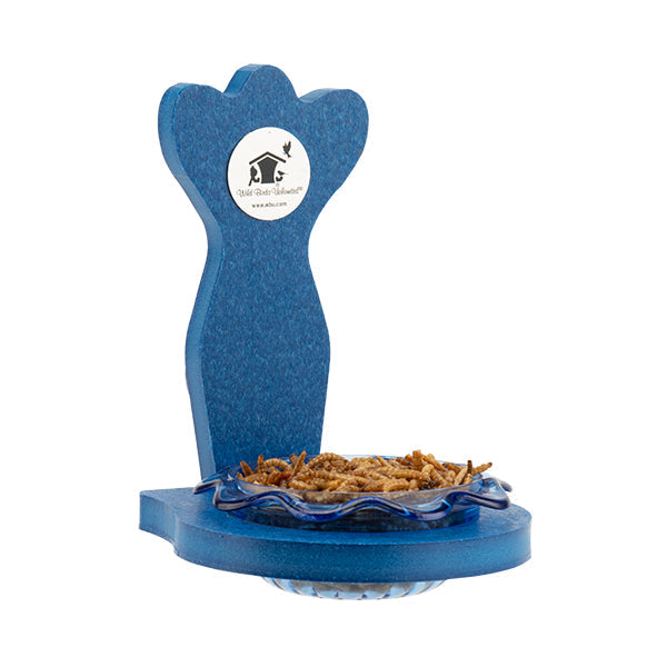 Bluebird Mini Trio Window Feeder in Blue Recycled Plastic - Birds Choice