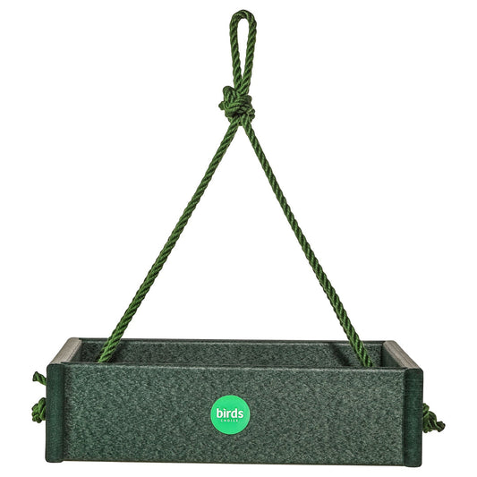 Hanging Tray Bird Feeder Color Pop Collection in Evergreen Recycled Plastic