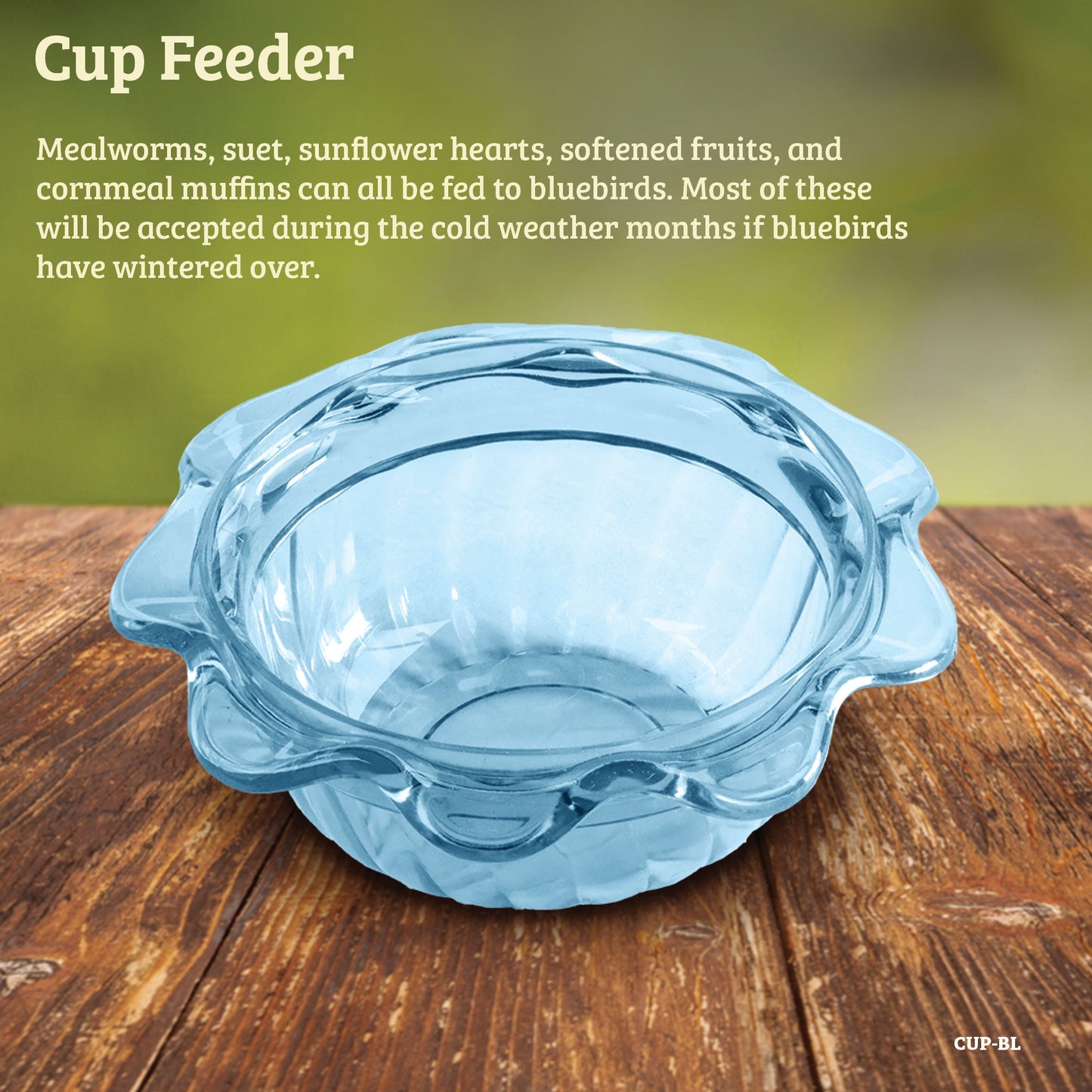 Bluebird Feeder Single Cup for Mealworms and Dried Fruit