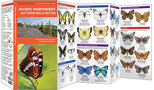 Pacific Northwest Butterflies & Moths Pocket Guide