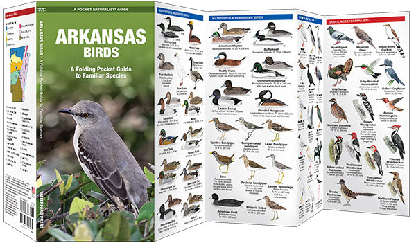Arkansas Birds Pocket Guide
