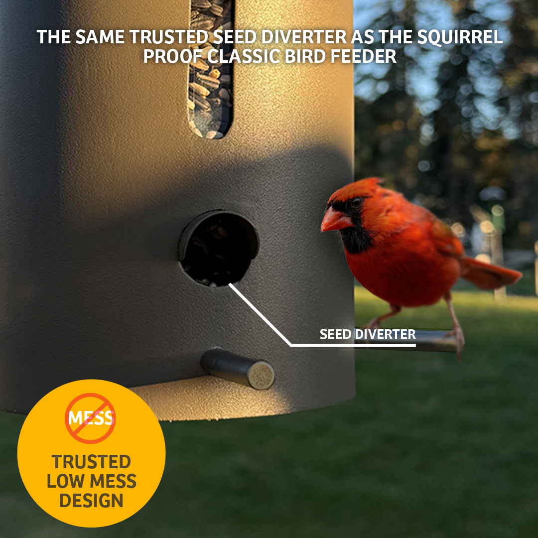 Bear Proof Bird Feeder in Brown