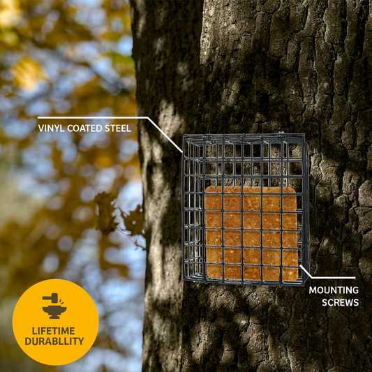Seed and Suet Block Cage with Hanging Chain