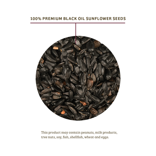 Black Oil Sunflower Wild Bird Food - 25 lbs.