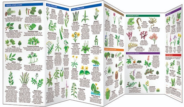 Edible Wild Plants Pocket Guide