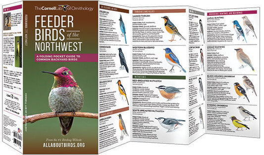 Feeder Birds Of The Northwest Pocket Guide