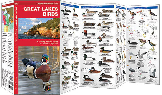 Great Lakes Birds Pocket Guide