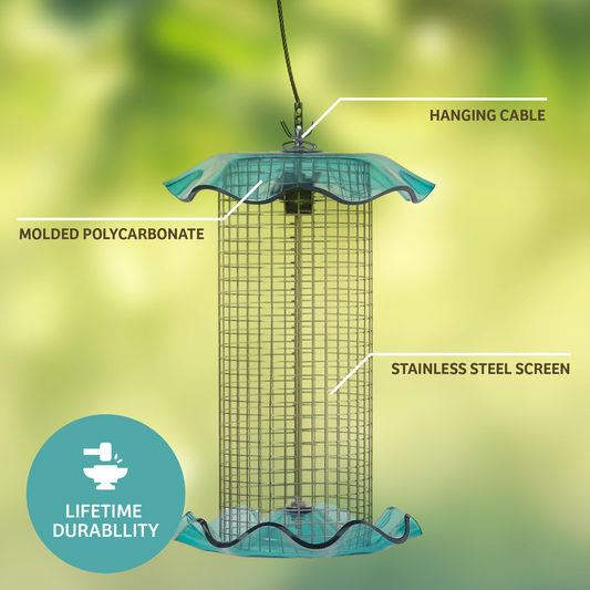 Blue Songbird Feeder