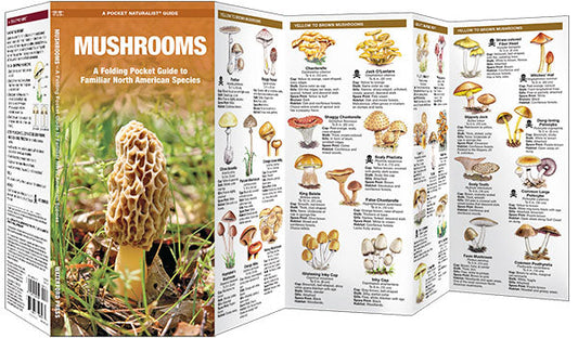 Mushrooms Pocket Guide