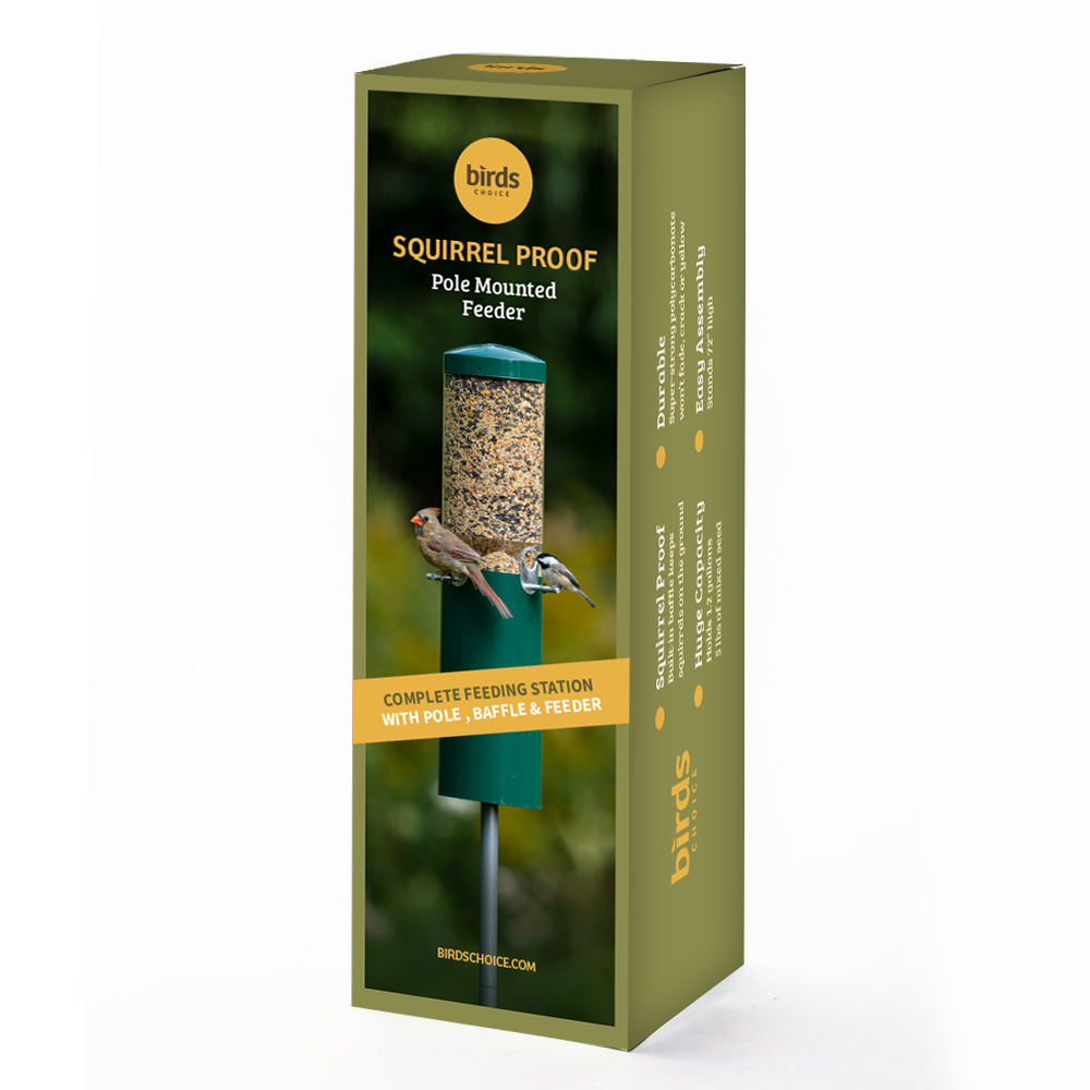 Squirrel Proof Classic Bird Feeder with Pole and Squirrel Baffle