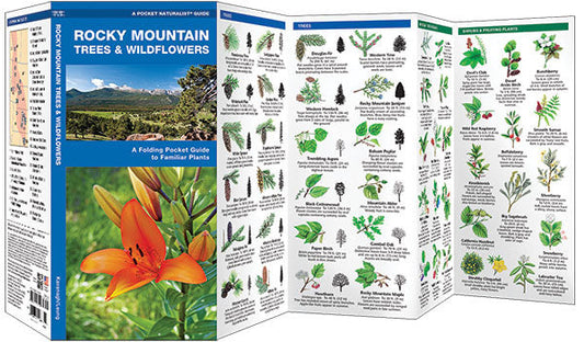 Rocky Mountain Trees & Wildflowers Pocket Guide