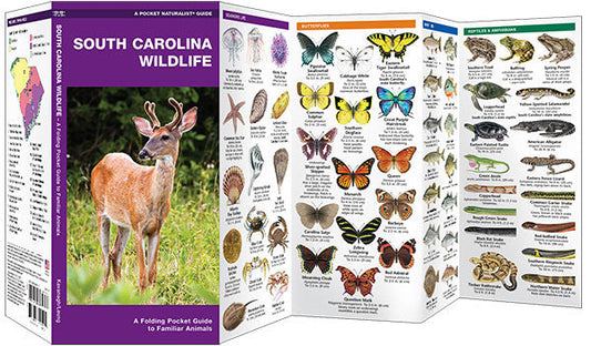 South Carolina Wildlife Pocket Guide