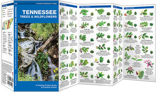 Tennessee Trees & Wildflowers Pocket Guide