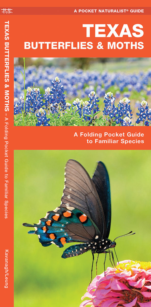 Texas Butterflies & Moths Pocket Guide