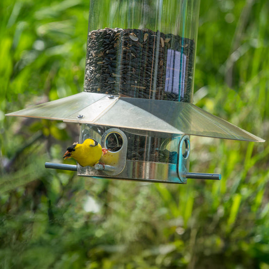 Hanging Classic Bird Feeder with Baffle Weather Guard 12 Inch