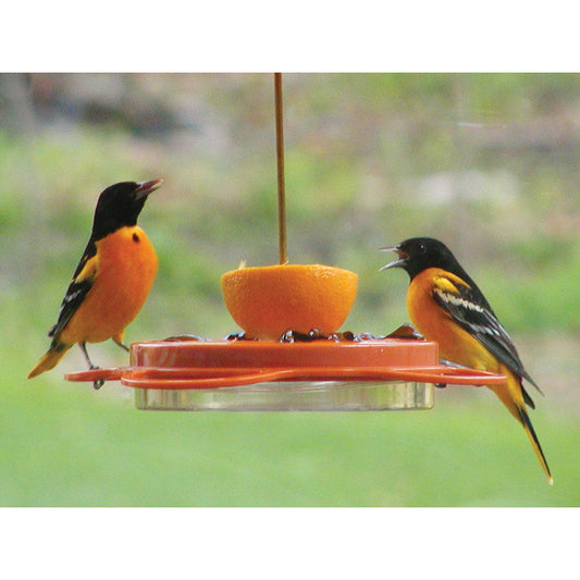WBU Oriole Feeder -12 oz. w/Bee Guards - Birds Choice