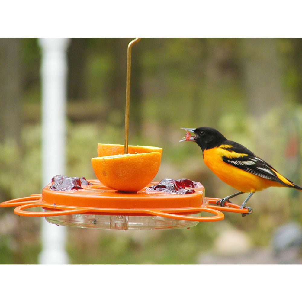 WBU Oriole Feeder -12 oz. w/Bee Guards - Birds Choice
