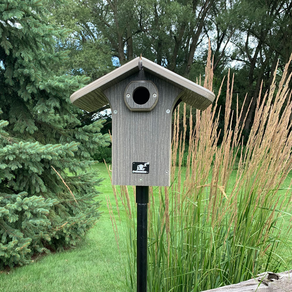 Modern Rustic Bluebird House Eastern - Birds Choice