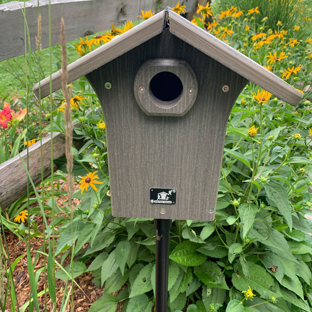Modern Rustic Bluebird House Western - Birds Choice