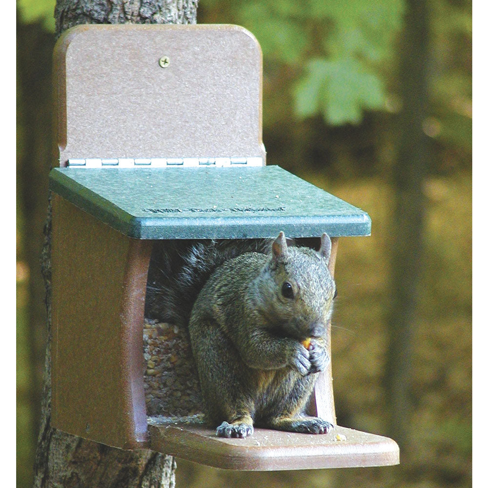 EcoTough Squirrel Munch Box - Birds Choice