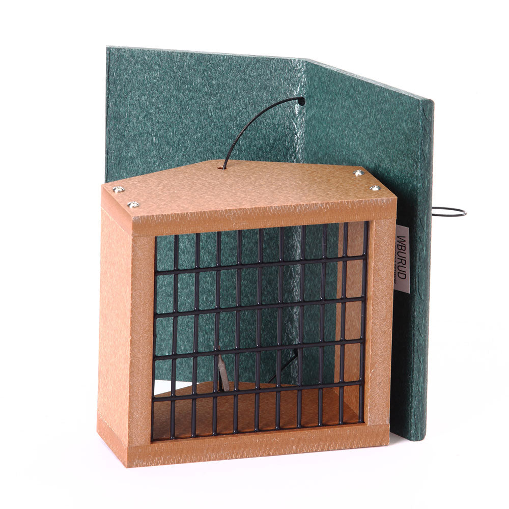 EcoTough Upside Down Suet Feeder - Birds Choice
