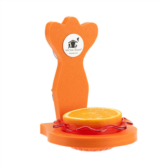 Oriole Mini Trio Window Feeder in Orange - Birds Choice