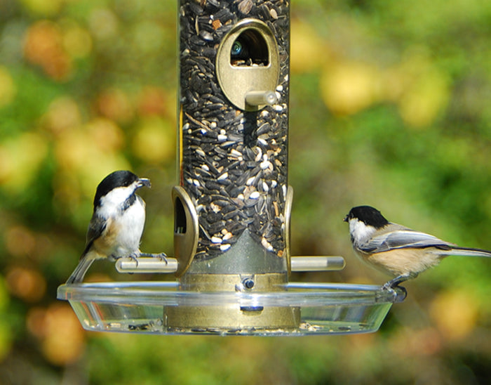 Aspects Round Seed Tray for Tube Top Feeders