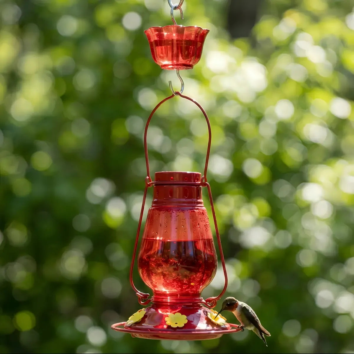 Kingsyard Lamp-shaped Glass Hummingbird Feeder
