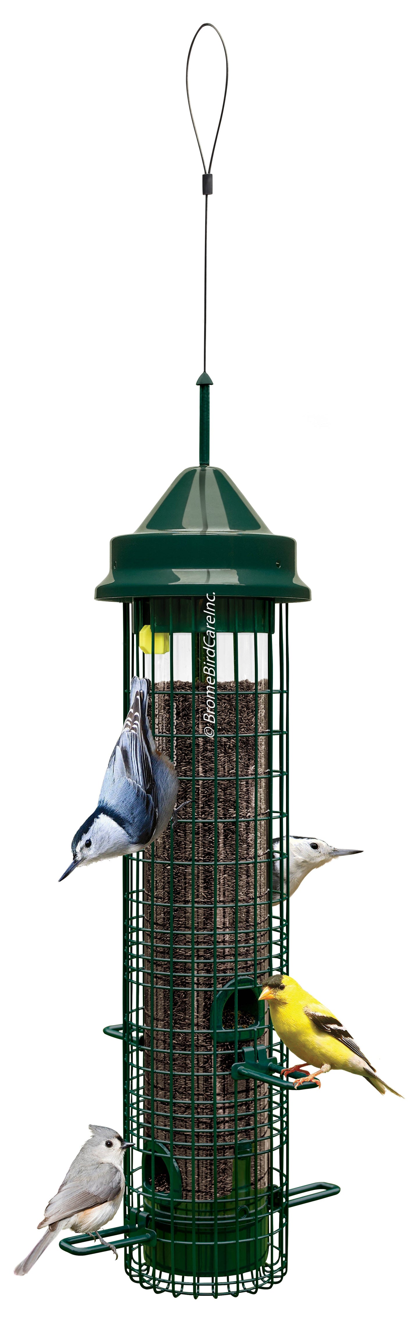 Brome Squirrel Buster Classic Squirrel-proof Bird Feeder