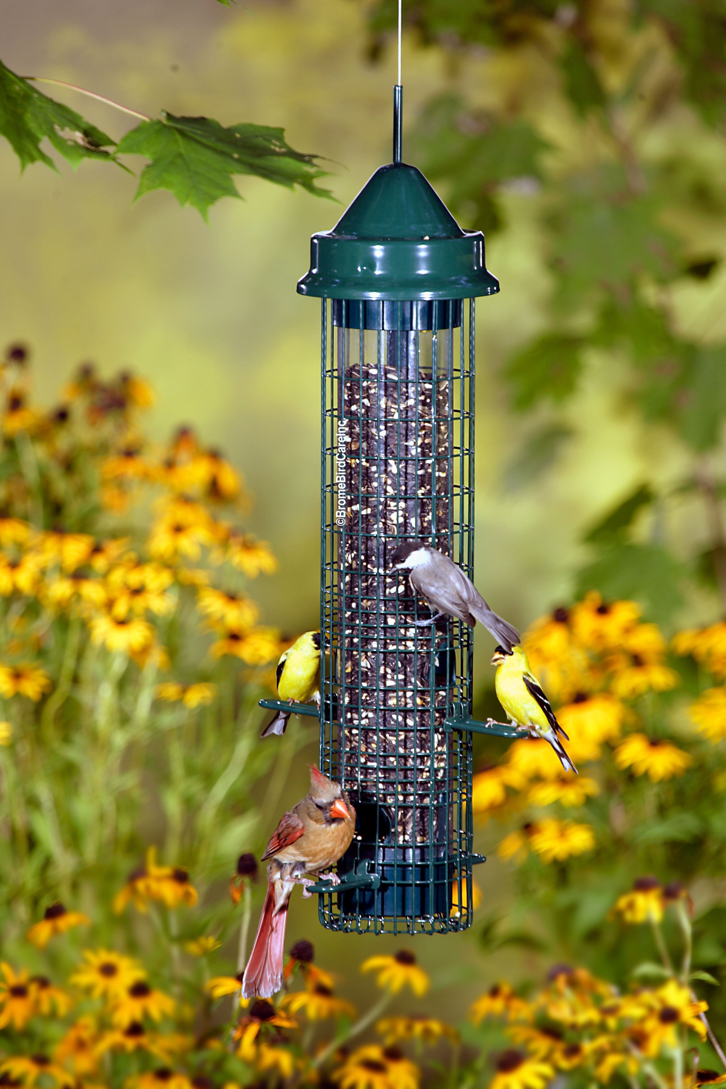 Squirrel Proof Bird Feeders & Accessories – Backyard Nature Products