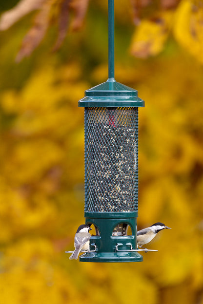 Brome Squirrel Buster Legacy Squirrel-proof Bird Feeder