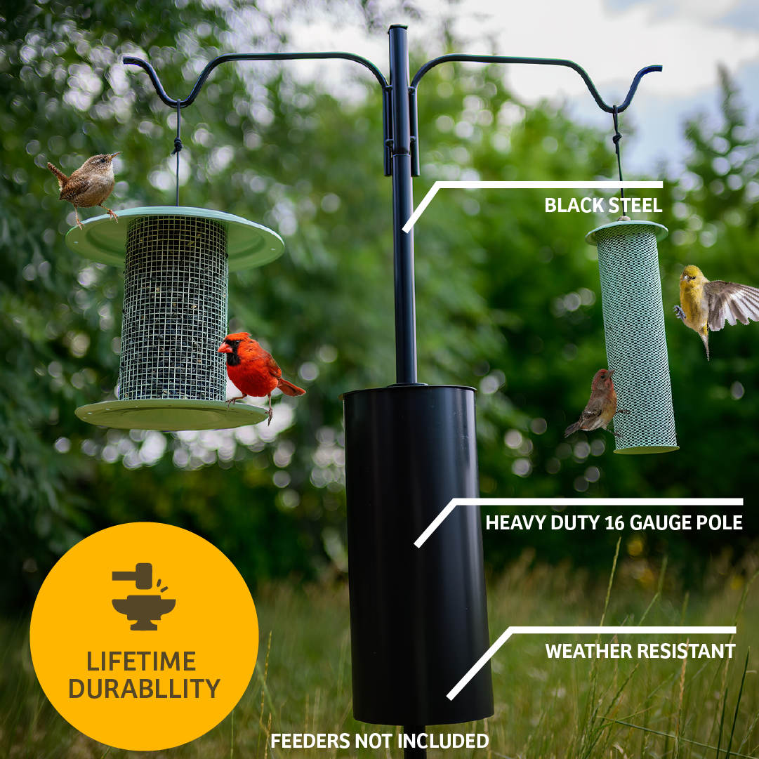 Erva 2 Arm Complete Bird Feeder Pole Set with Squirrel Baffle