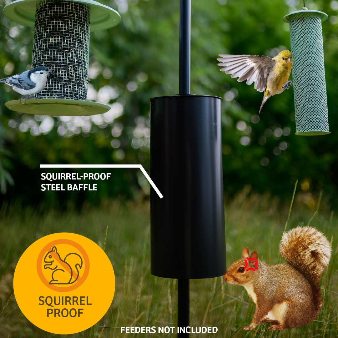 Erva 2 Arm Complete Bird Feeder Pole Set with Squirrel Baffle