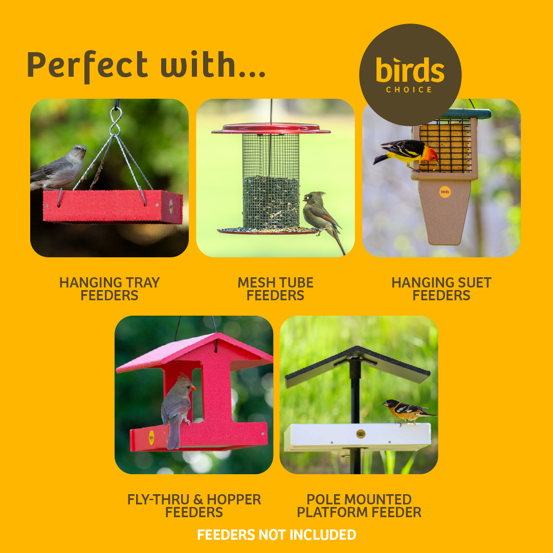 Erva 2 Arm Complete Bird Feeder Pole Set with Squirrel Baffle