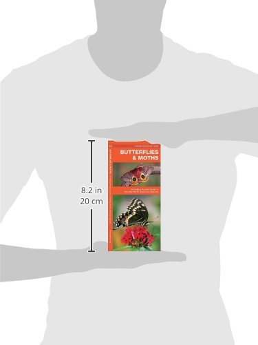 Butterflies & Moths Pocket Guide