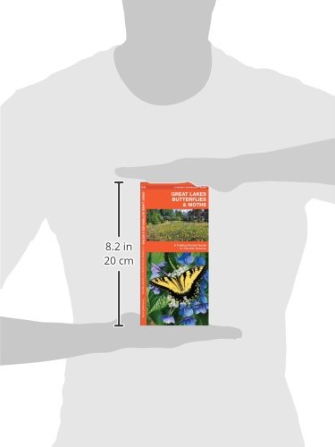 Great Lakes Butterflies & Moths Pocket Guide