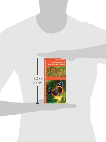 Massachusetts Butterflies & Moths Pocket Guide