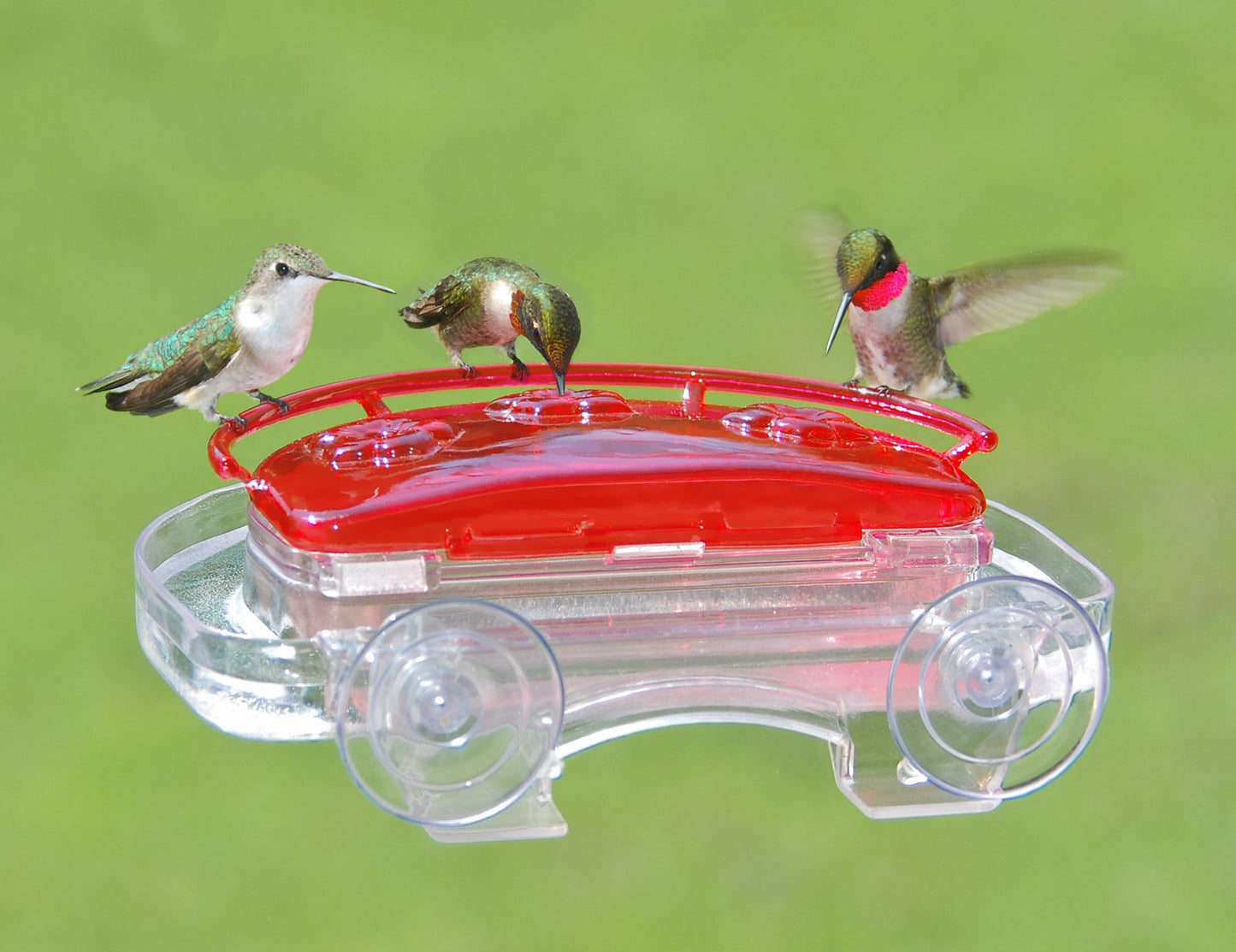 Aspects Jewel Box Window Hummingbird Feeder