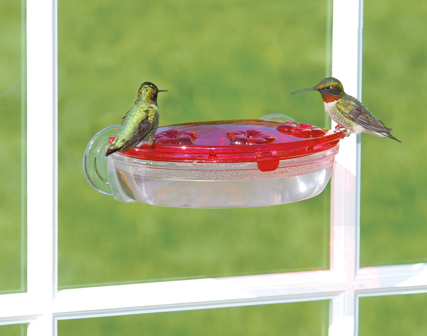 Aspects Jewel Box Window Hummingbird Feeder