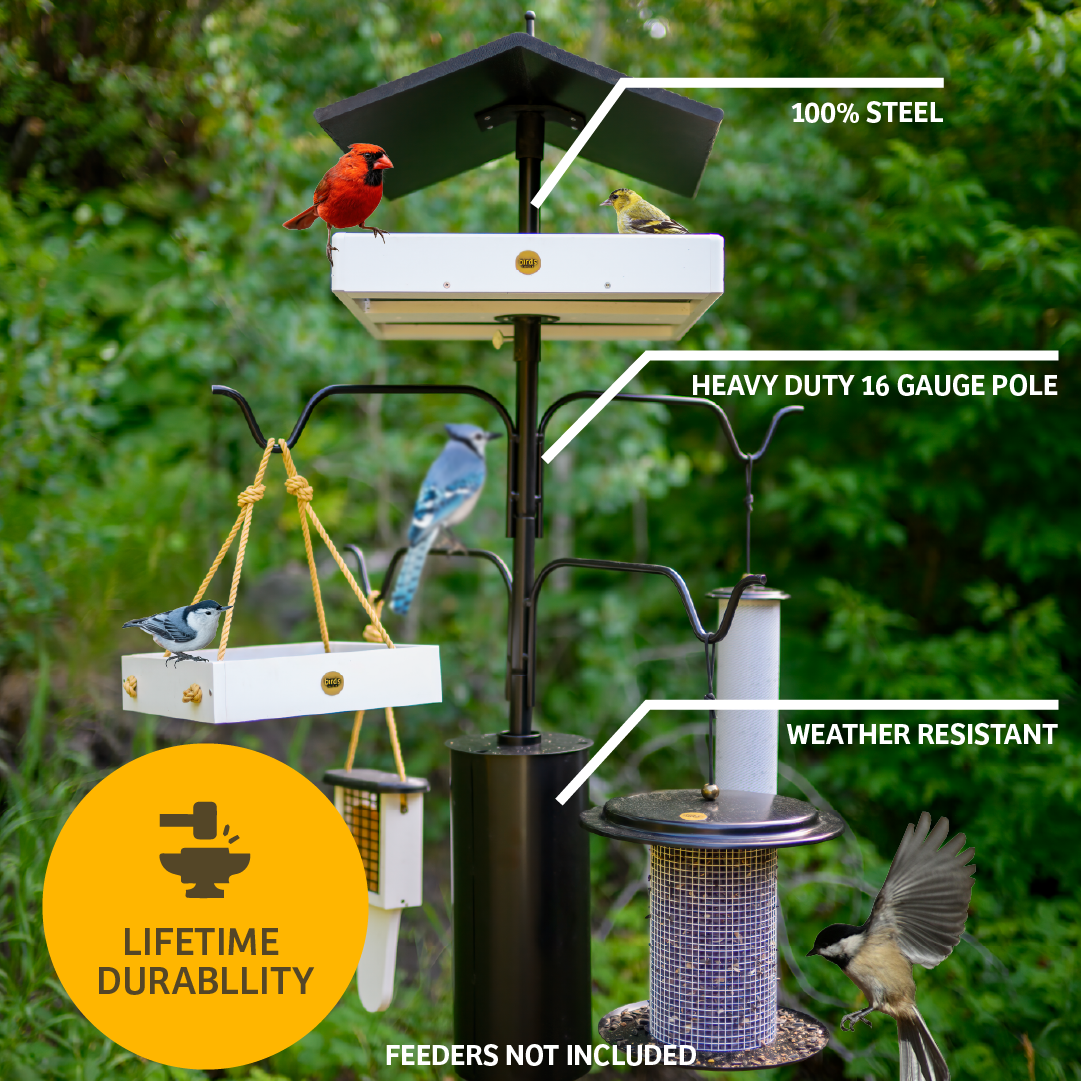 4 Arm Complete Bird Feeder Pole Set with Squirrel Baffle