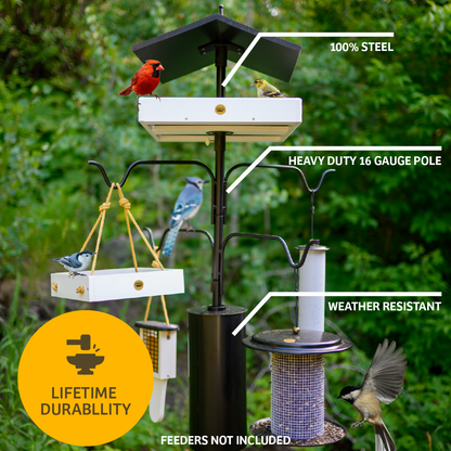 4 Arm Complete Bird Feeder Pole Set with Squirrel Baffle
