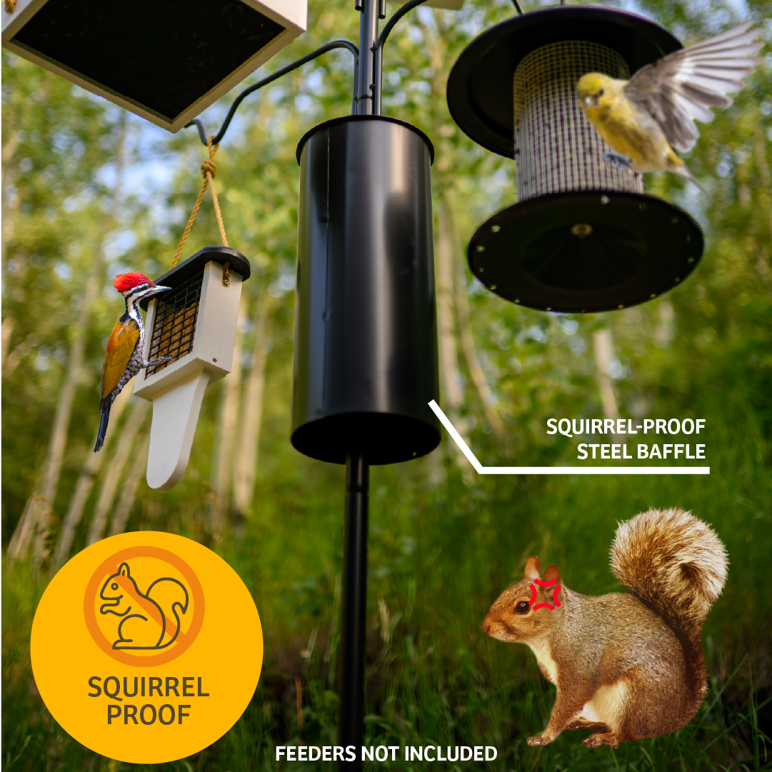 4 Arm Complete Bird Feeder Pole Set with Squirrel Baffle