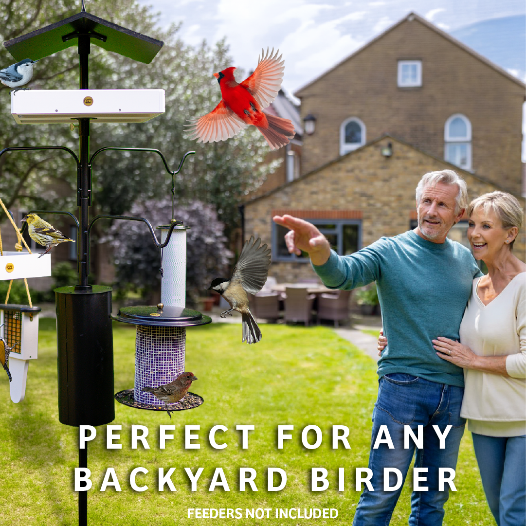 4 Arm Complete Bird Feeder Pole Set with Squirrel Baffle