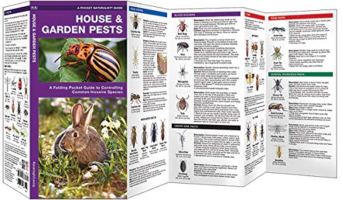 House & Garden Pests Pocket Guide