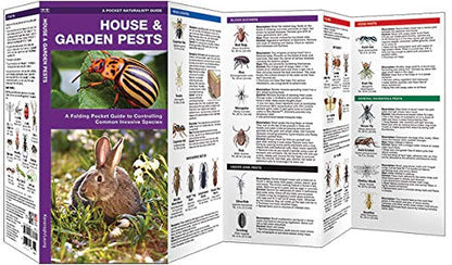House & Garden Pests Pocket Guide