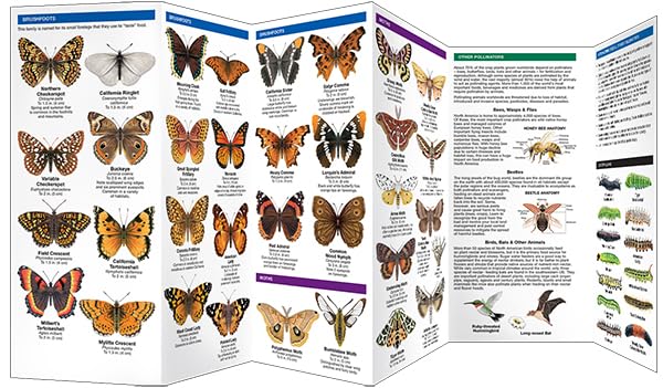 California Butterflies & Pollinators Pocket Guide