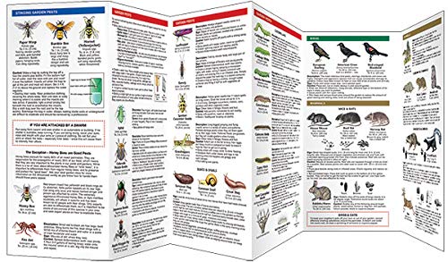 House & Garden Pests Pocket Guide