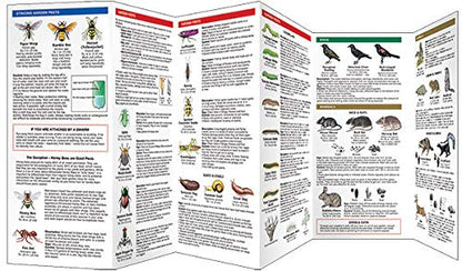 House & Garden Pests Pocket Guide