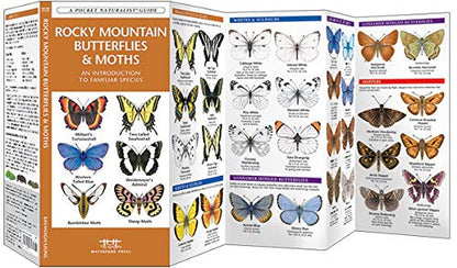 Rocky Mountain Butterflies & Moths Pocket Guide