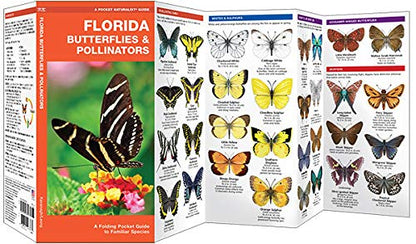 Florida Butterflies & Pollinators Pocket Guide
